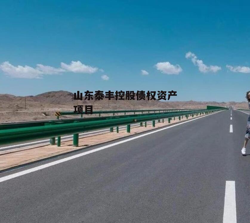 山东泰丰控股债权资产项目