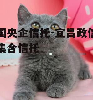 国央企信托-宜昌政信集合信托