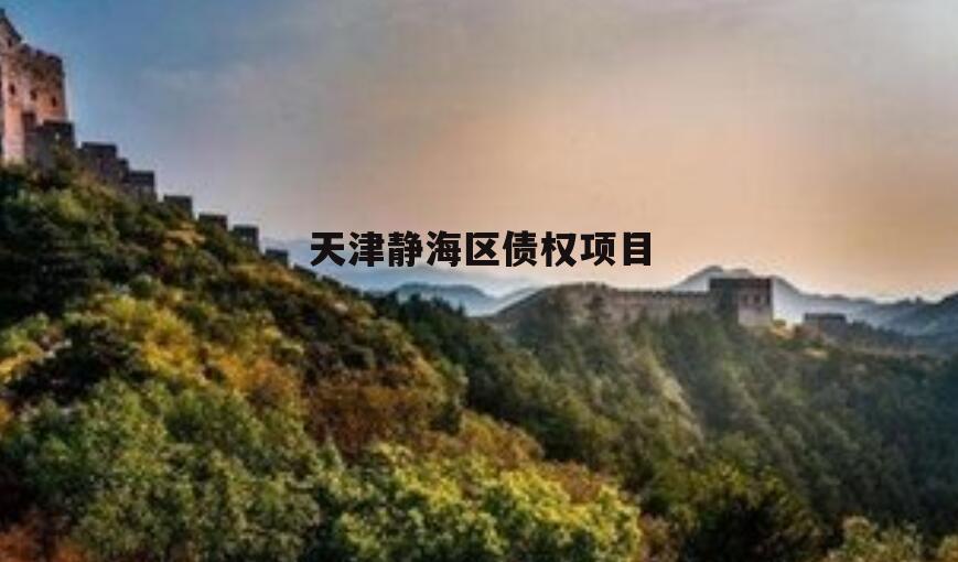 天津静海区债权项目