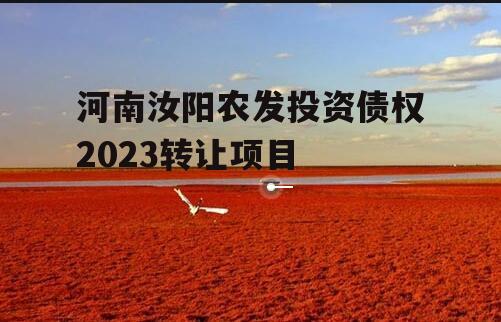 河南汝阳农发投资债权2023转让项目