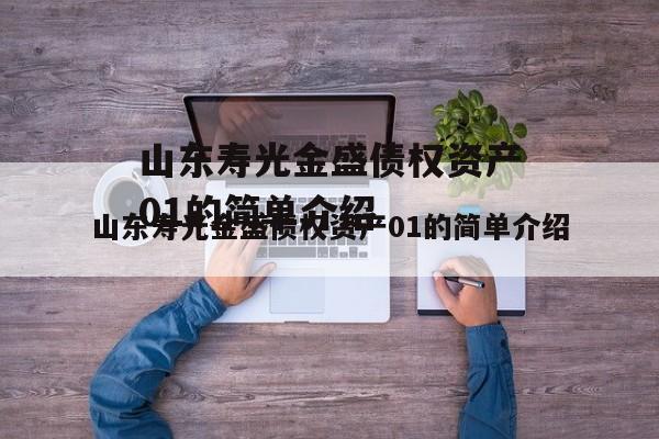 山东寿光金盛债权资产01的简单介绍