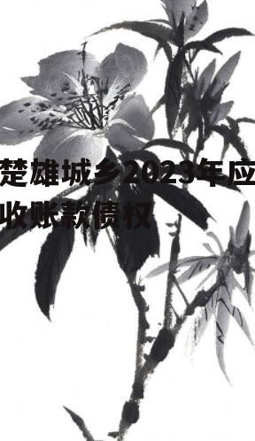 楚雄城乡2023年应收账款债权