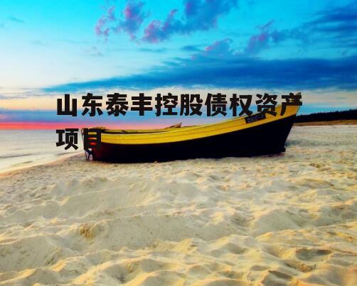 山东泰丰控股债权资产项目