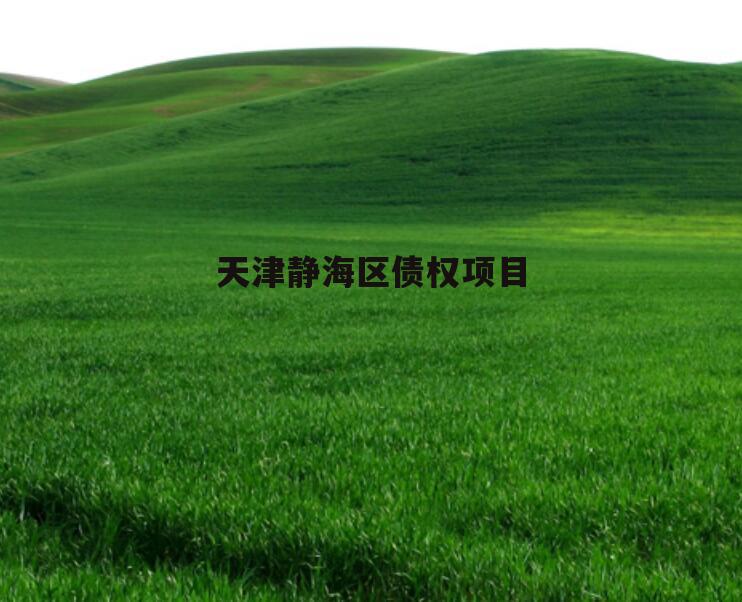 天津静海区债权项目