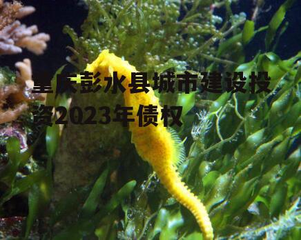 重庆彭水县城市建设投资2023年债权