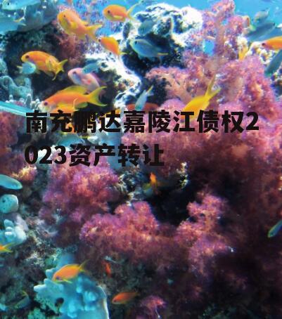南充鹏达嘉陵江债权2023资产转让