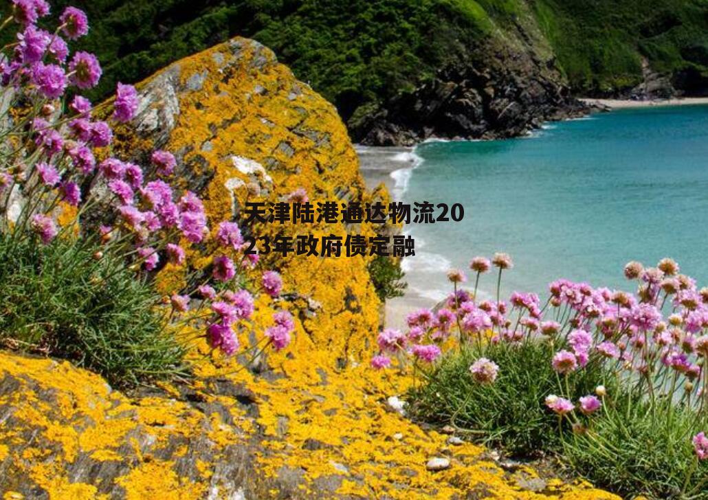 天津陆港通达物流2023年政府债定融