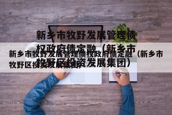 新乡市牧野发展管理债权政府债定融（新乡市牧野区投资发展集团）