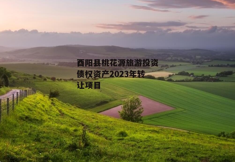 酉阳县桃花源旅游投资债权资产2023年转让项目