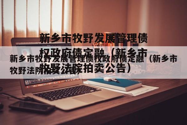 新乡市牧野发展管理债权政府债定融（新乡市牧野法院拍卖公告）