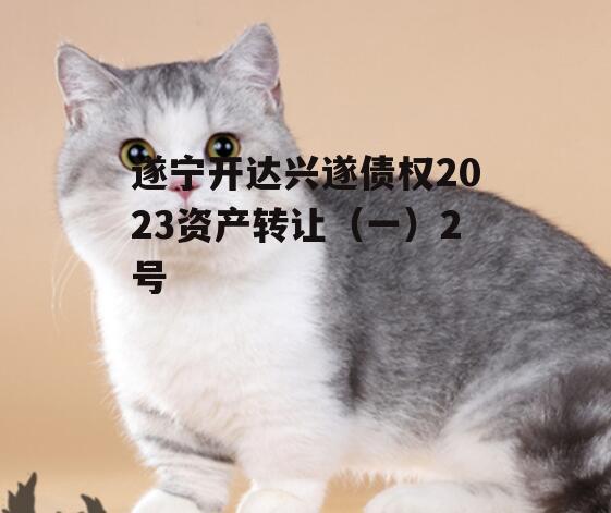 遂宁开达兴遂债权2023资产转让（一）2号