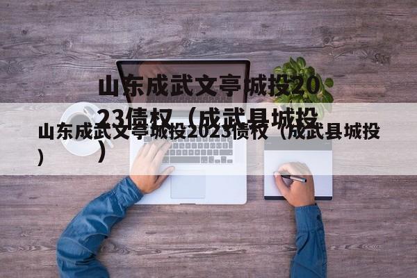 山东成武文亭城投2023债权（成武县城投）