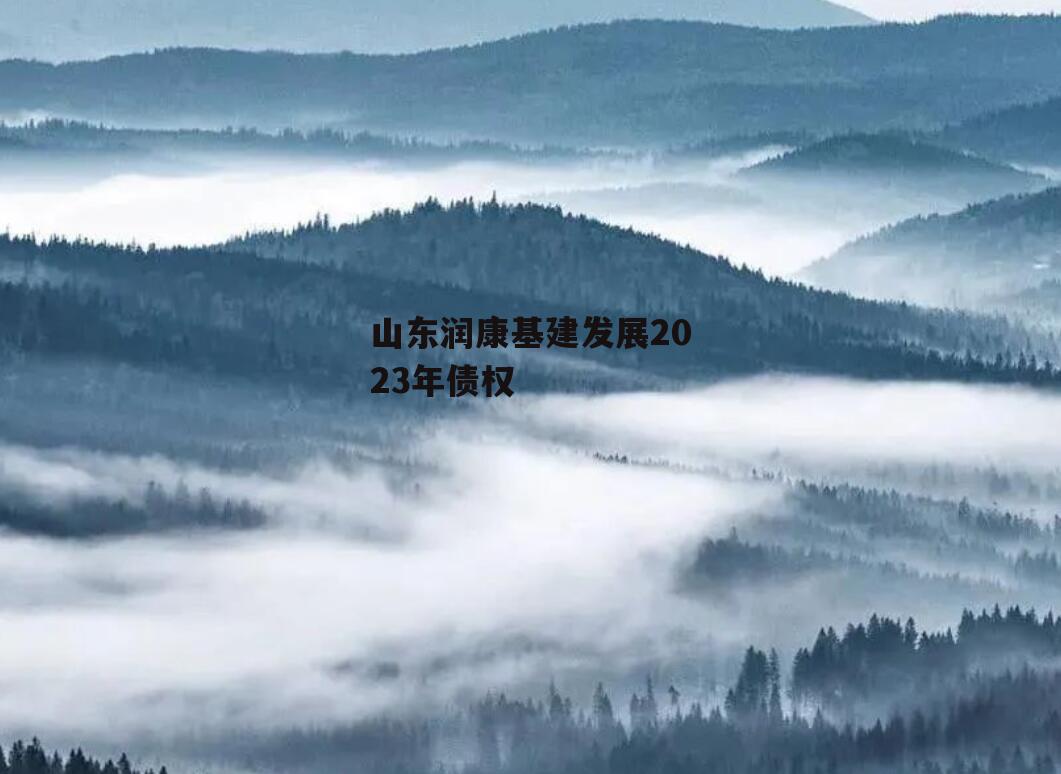 山东润康基建发展2023年债权