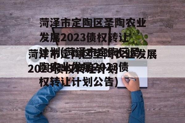 菏泽市定陶区圣陶农业发展2023债权转让计划(菏泽市定陶区圣陶农业发展2023债权转让计划公告)