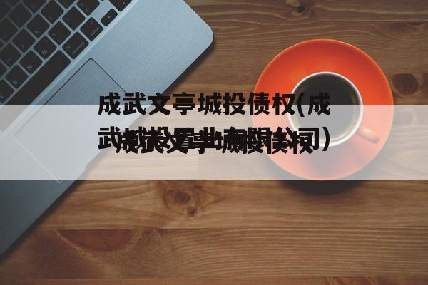 成武文亭城投债权(成武城投置业有限公司)
