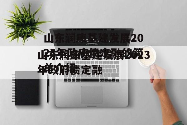 山东润康基建发展2023年政府债定融的简单介绍