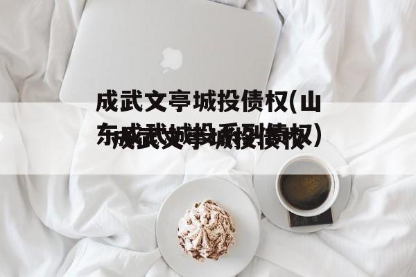 成武文亭城投债权(山东成武城投系列债权)