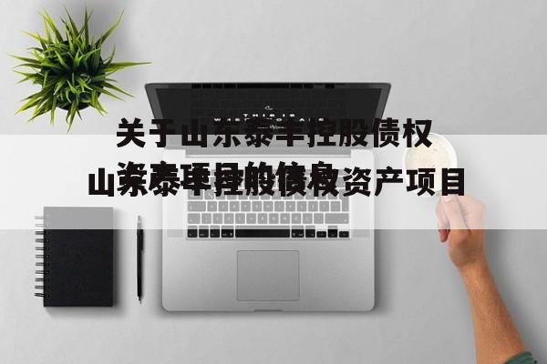 关于山东泰丰控股债权资产项目的信息