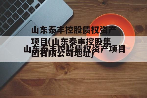 山东泰丰控股债权资产项目(山东泰丰控股集团有限公司地址)