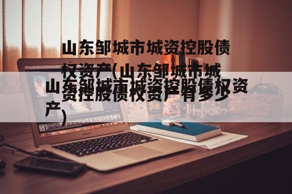 山东邹城市城资控股债权资产(山东邹城市城资控股债权资产有多少)
