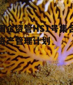 国企资管HS1号集合资产管理计划