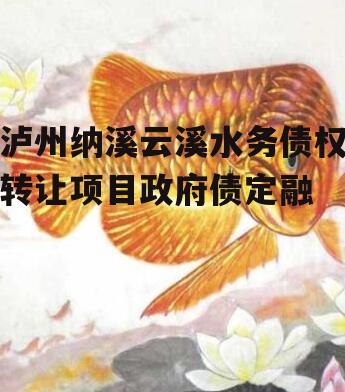 泸州纳溪云溪水务债权转让项目政府债定融