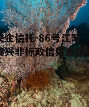 央企信托-86号江苏泰兴非标政信集合信托