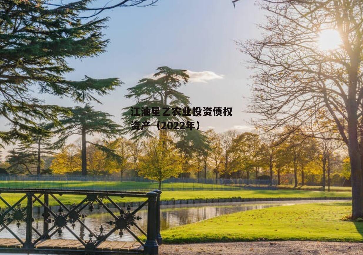 江油星乙农业投资债权资产（2022年）