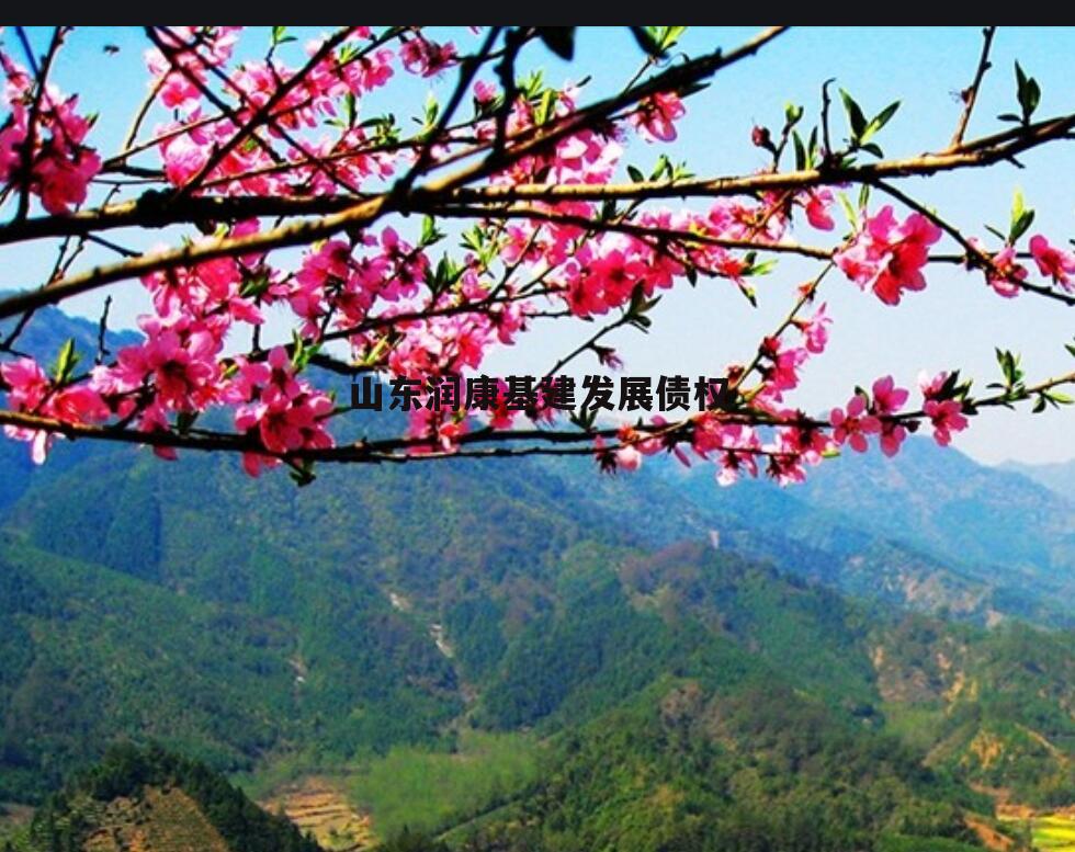 山东润康基建发展债权