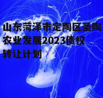 山东菏泽市定陶区圣陶农业发展2023债权转让计划