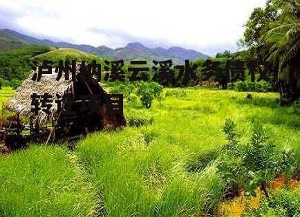 泸州纳溪云溪水务债权转让项目