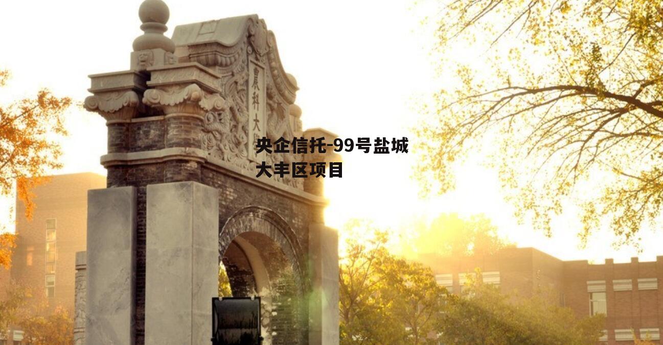 央企信托-99号盐城大丰区项目