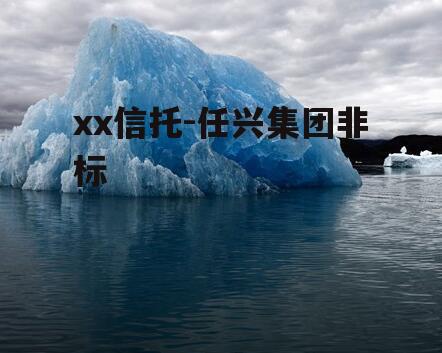xx信托-任兴集团非标