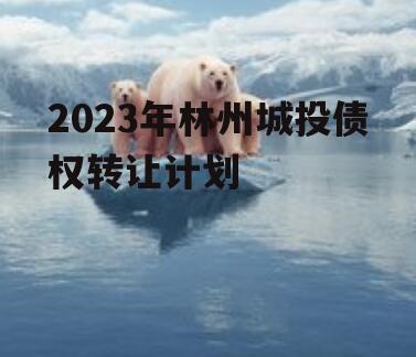 2023年林州城投债权转让计划