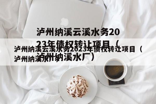泸州纳溪云溪水务2023年债权转让项目（泸州纳溪水厂）