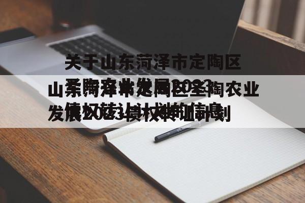 关于山东菏泽市定陶区圣陶农业发展2023债权转让计划的信息