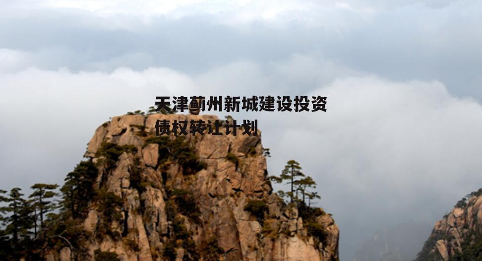 天津蓟州新城建设投资债权转让计划