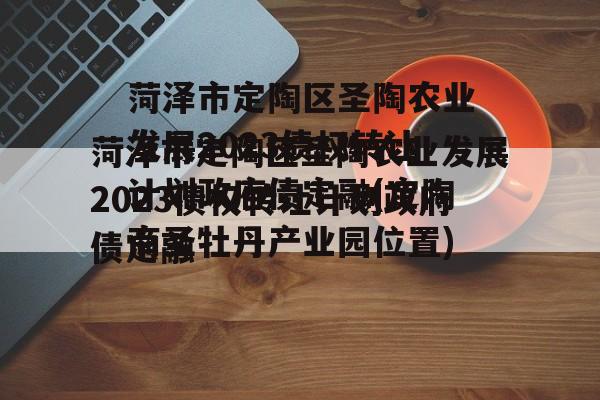 菏泽市定陶区圣陶农业发展2023债权转让计划政府债定融(定陶商圣牡丹产业园位置)