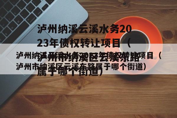 泸州纳溪云溪水务2023年债权转让项目（泸州市纳溪区云溪东路属于哪个街道）