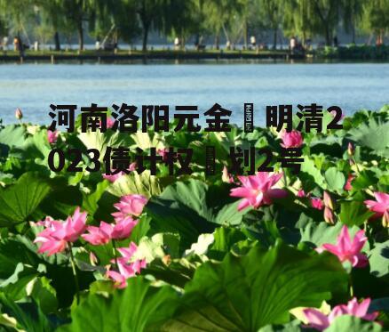 河南洛阳元金‬明清2023债计权‬划2号