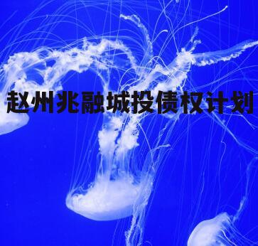 赵州兆融城投债权计划