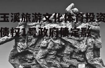 玉溪旅游文化体育投资债权1号政府债定融