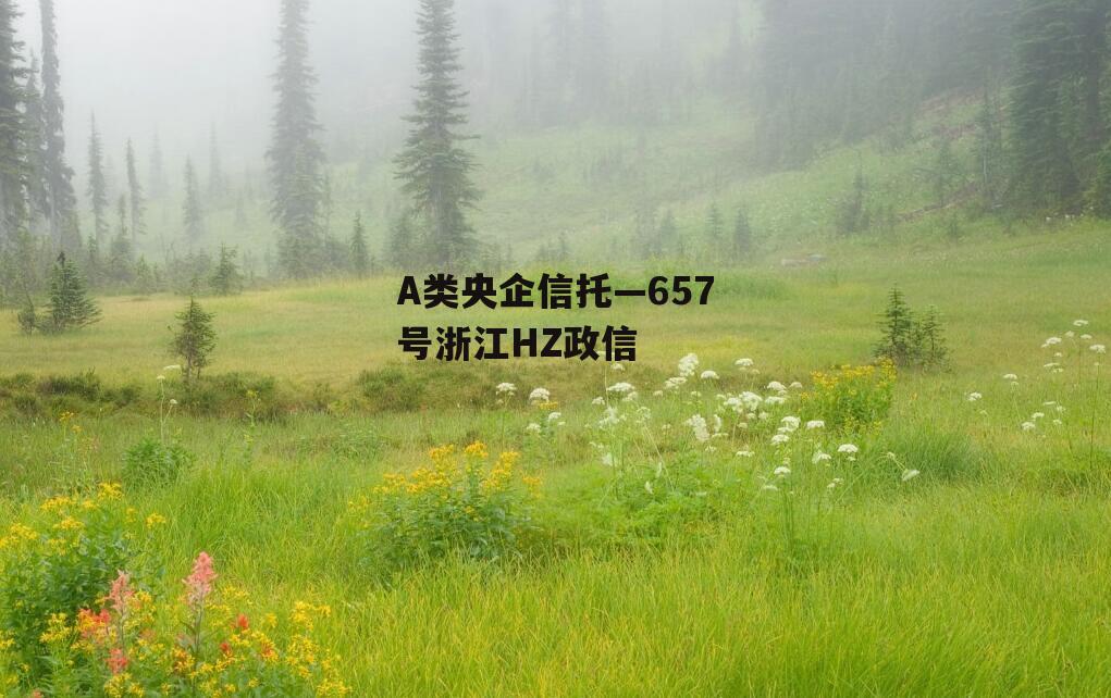 A类央企信托—657号浙江HZ政信