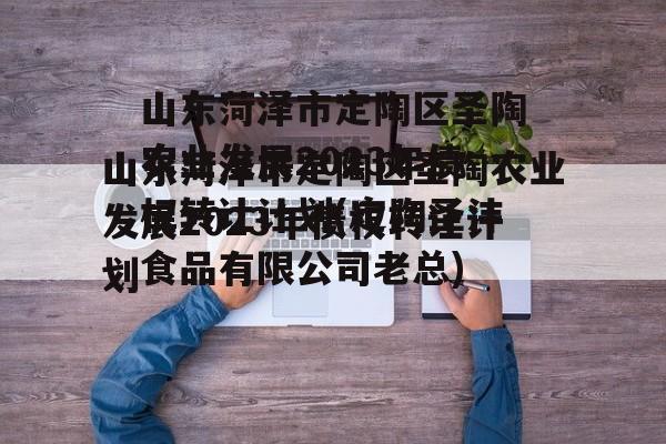 山东菏泽市定陶区圣陶农业发展2023年债权转让计划(定陶圣沣食品有限公司老总)