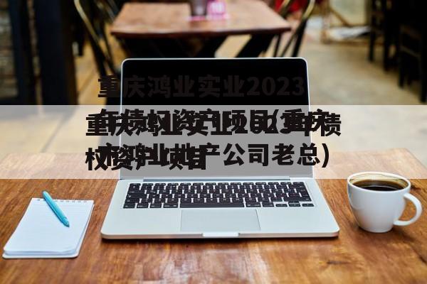 重庆鸿业实业2023年债权资产项目(重庆市鸿业地产公司老总)