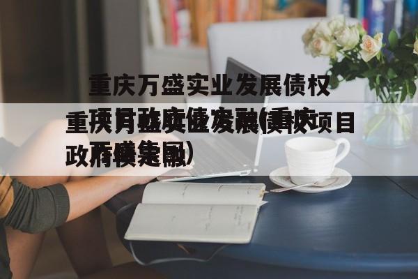 重庆万盛实业发展债权项目政府债定融(重庆万盛集团)