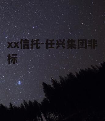 xx信托-任兴集团非标
