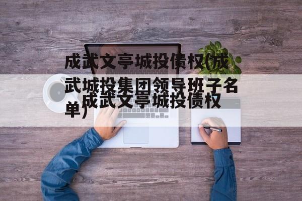 成武文亭城投债权(成武城投集团领导班子名单)