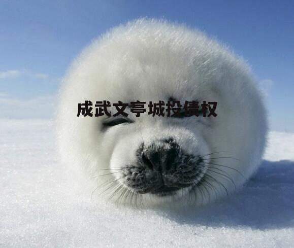 成武文亭城投债权
