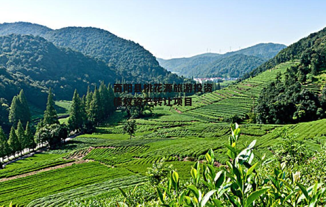 酉阳县桃花源旅游投资债权资产转让项目